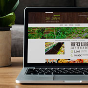 diseño-web-profesional